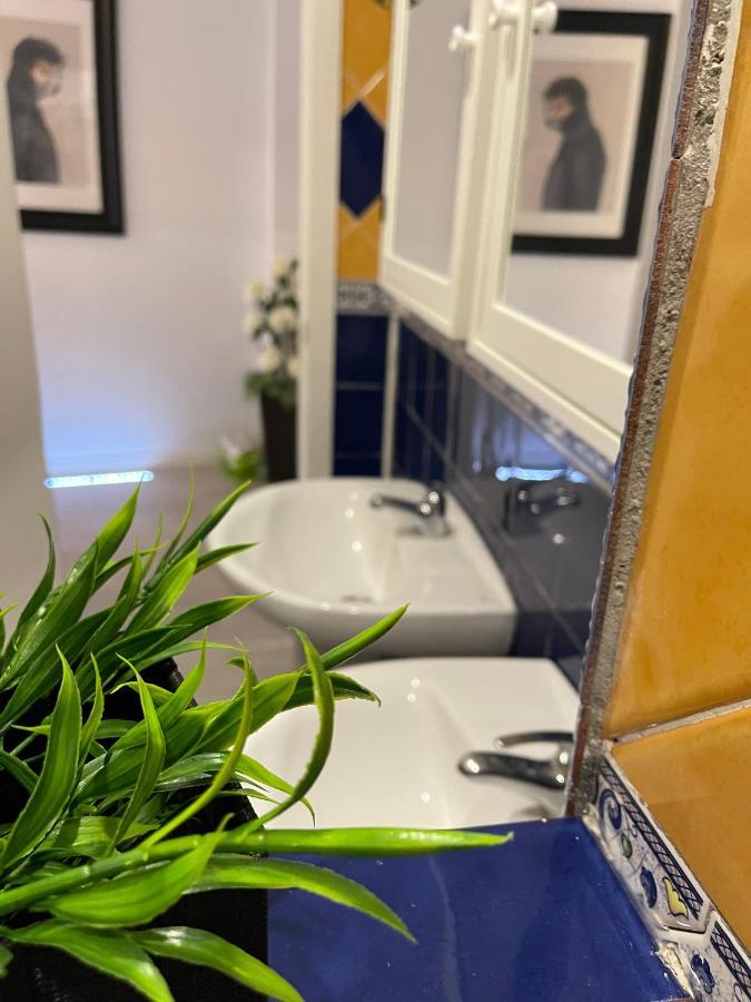 Apartament Dream Recova Santa Cruz de Tenerife Zewnętrze zdjęcie