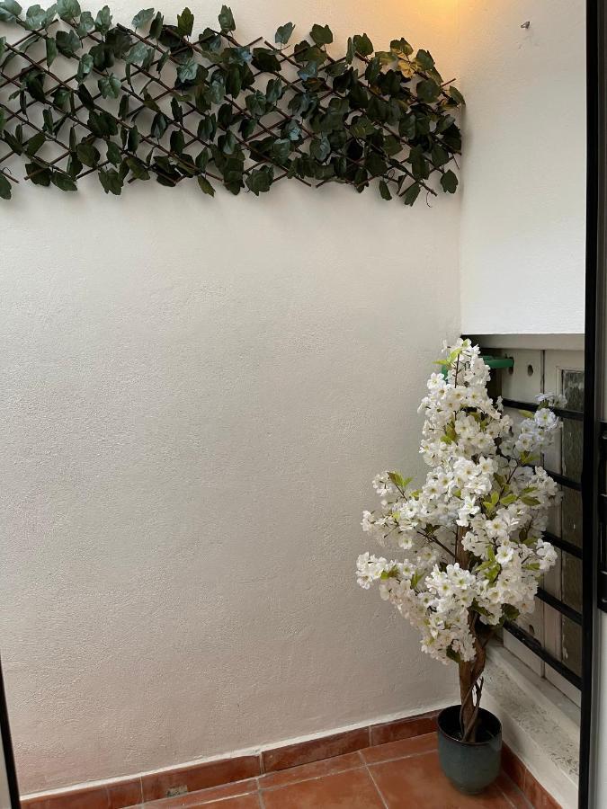 Apartament Dream Recova Santa Cruz de Tenerife Zewnętrze zdjęcie
