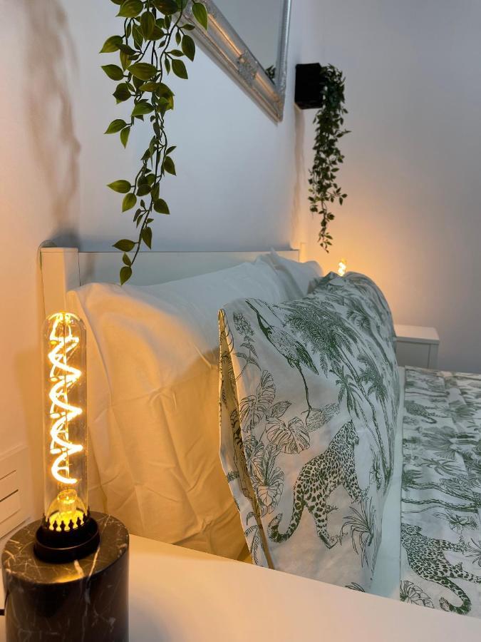 Apartament Dream Recova Santa Cruz de Tenerife Zewnętrze zdjęcie