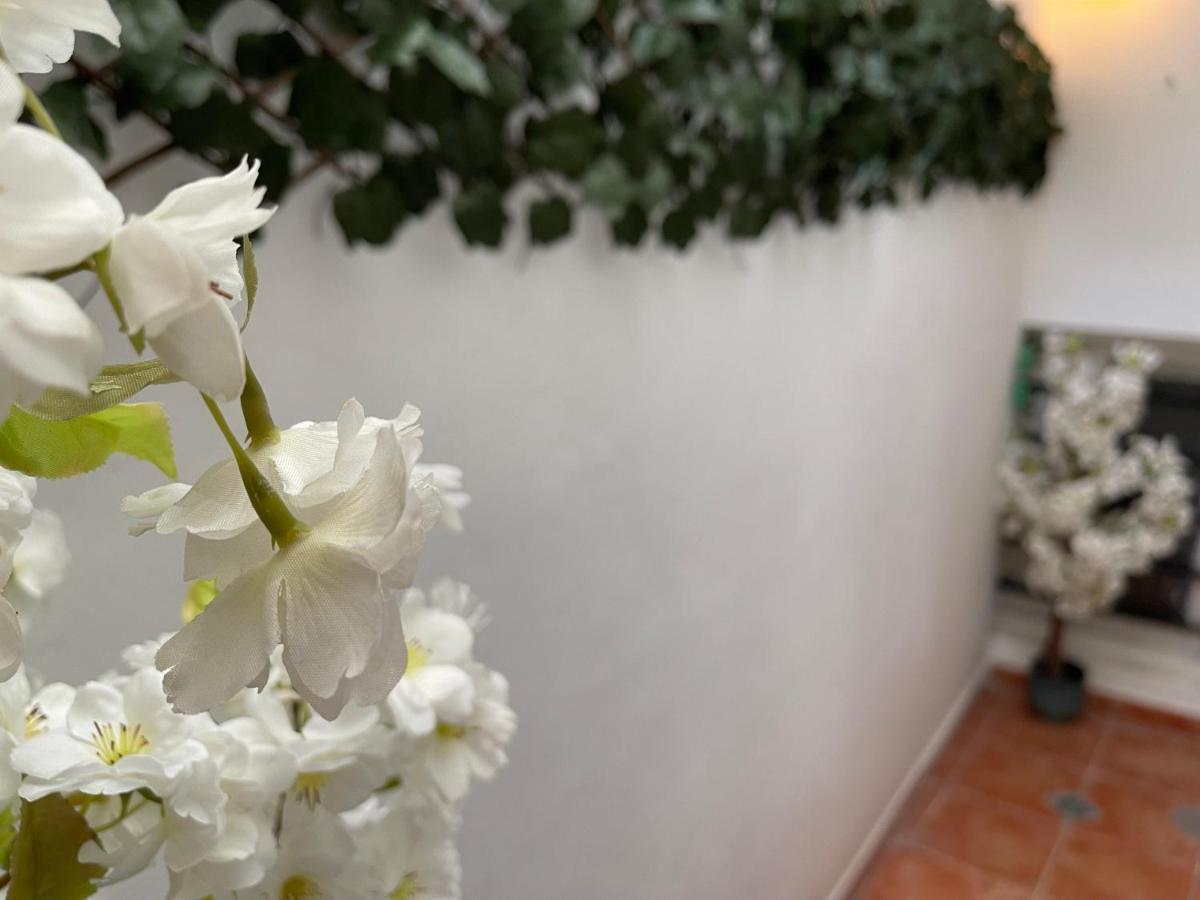 Apartament Dream Recova Santa Cruz de Tenerife Zewnętrze zdjęcie