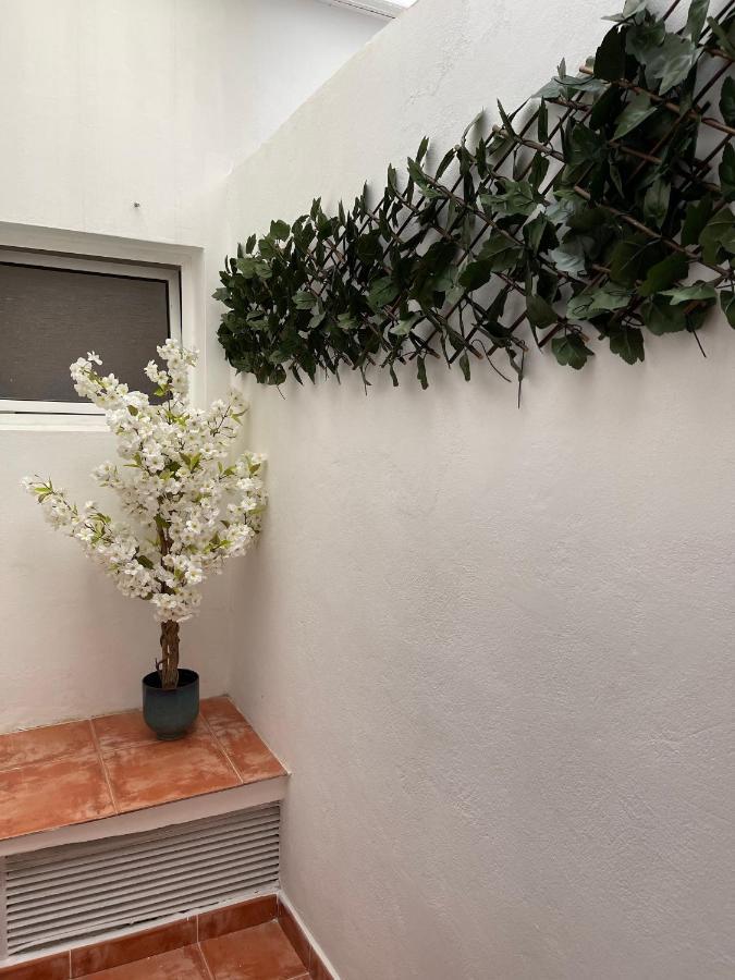 Apartament Dream Recova Santa Cruz de Tenerife Zewnętrze zdjęcie